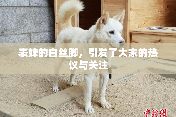 表妹的白丝脚，引发了大家的热议与关注