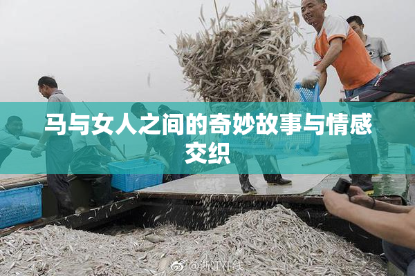 马与女人之间的奇妙故事与情感交织