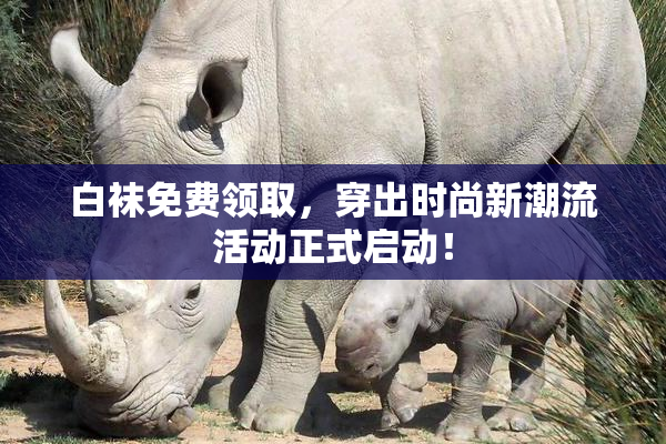 白袜免费领取，穿出时尚新潮流活动正式启动！