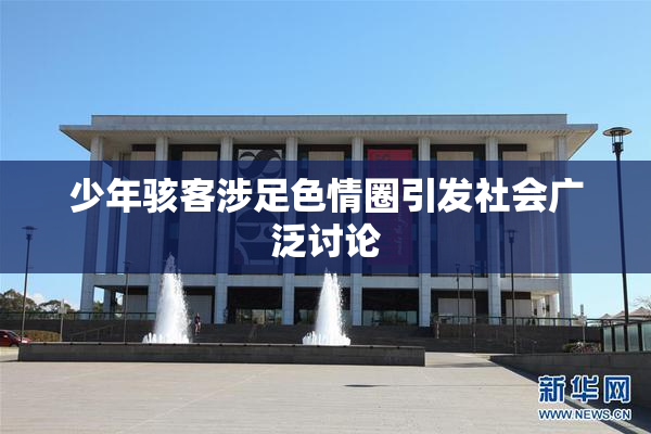 少年骇客涉足色情圈引发社会广泛讨论