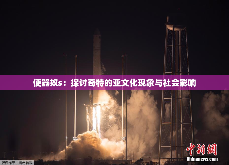便器奴s：探讨奇特的亚文化现象与社会影响