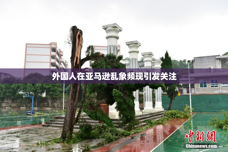 外国人在亚马逊乱象频现引发关注