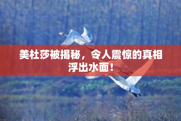 美杜莎被揭秘，令人震惊的真相浮出水面！
