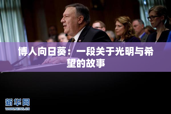 博人向日葵：一段关于光明与希望的故事