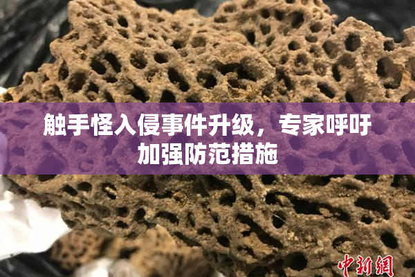 触手怪入侵事件升级，专家呼吁加强防范措施