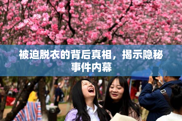被迫脱衣的背后真相，揭示隐秘事件内幕