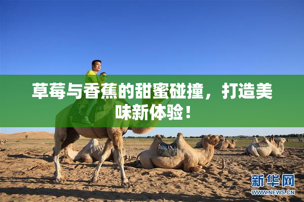 草莓与香蕉的甜蜜碰撞，打造美味新体验！