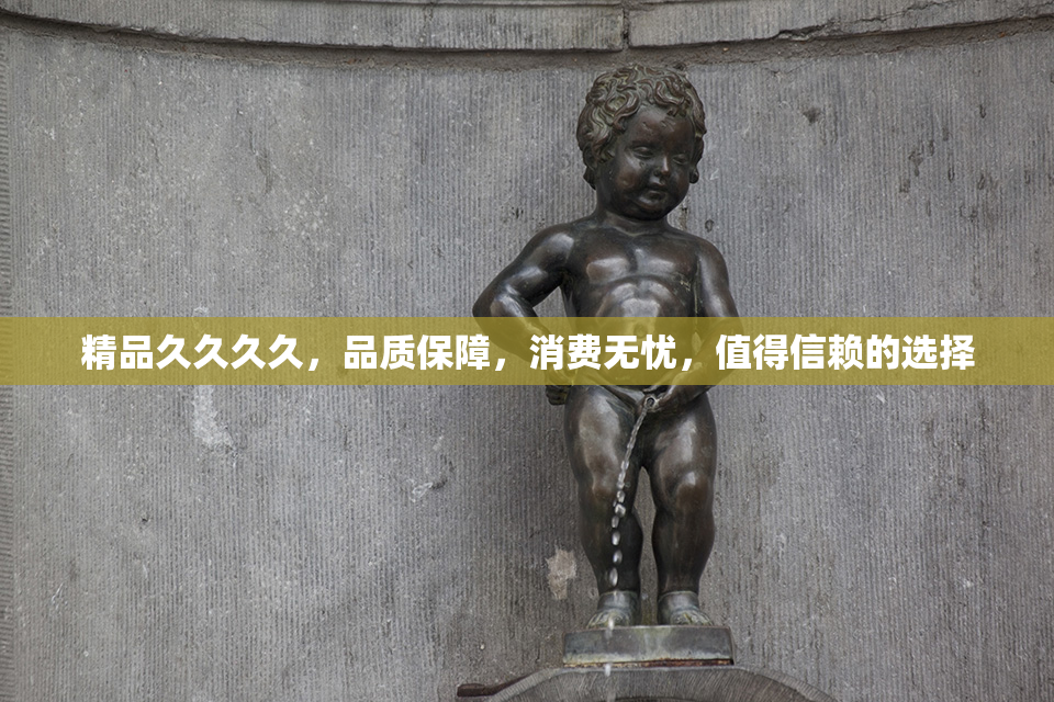 精品久久久久，品质保障，消费无忧，值得信赖的选择