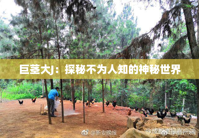 巨茎大J：探秘不为人知的神秘世界