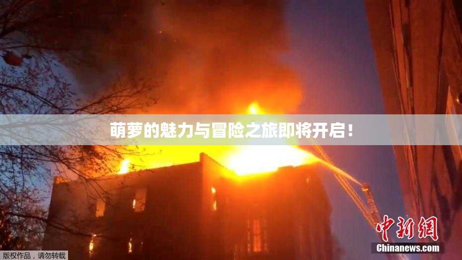 萌萝的魅力与冒险之旅即将开启！