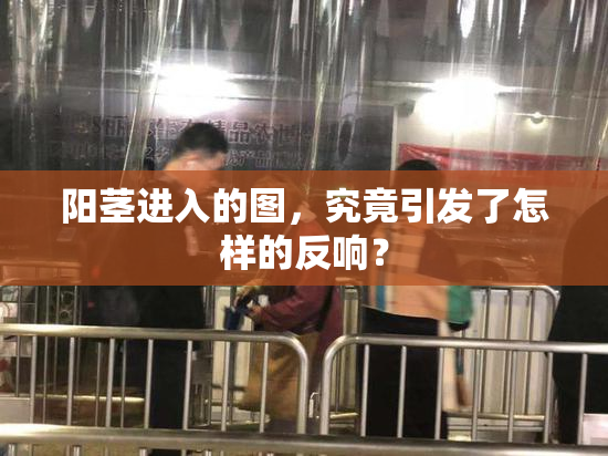 阳茎进入的图，究竟引发了怎样的反响？