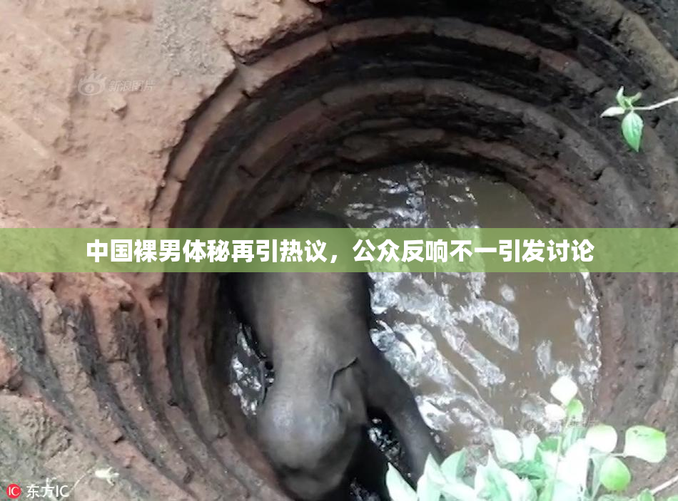 中国裸男体秘再引热议，公众反响不一引发讨论