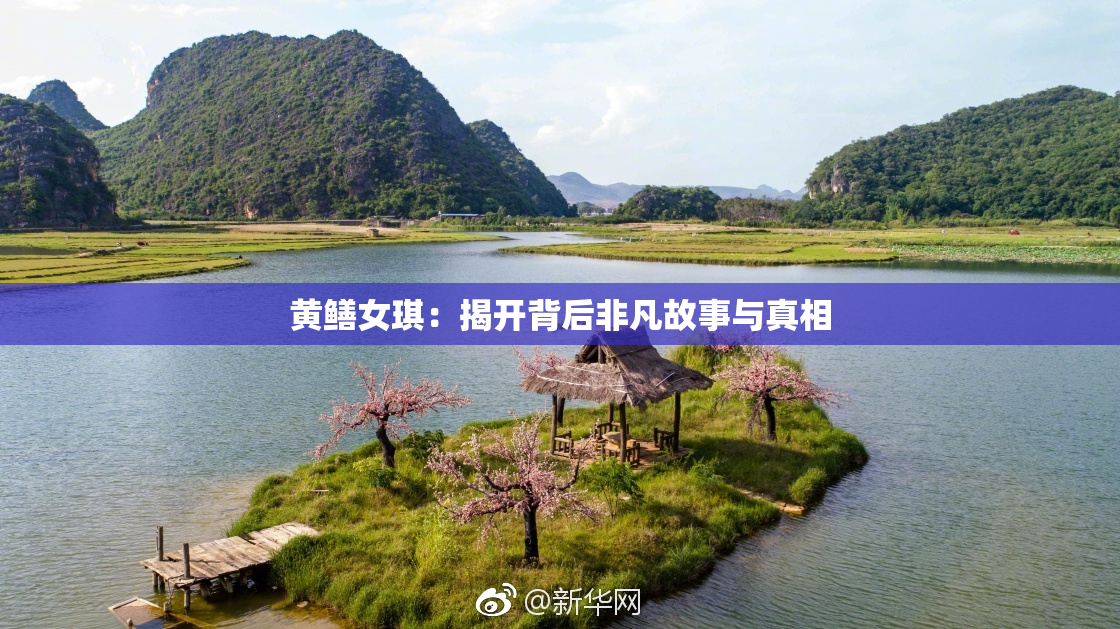 黄鳝女琪：揭开背后非凡故事与真相