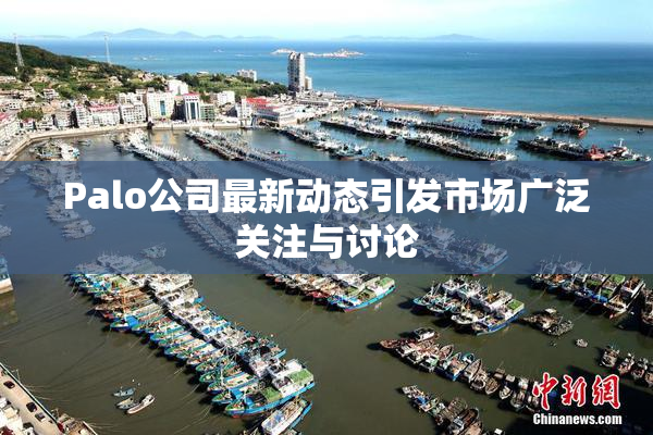 Palo公司最新动态引发市场广泛关注与讨论