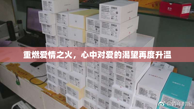 重燃爱情之火，心中对爱的渴望再度升温