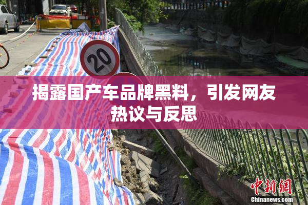 揭露国产车品牌黑料，引发网友热议与反思