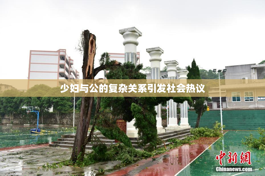 少妇与公的复杂关系引发社会热议