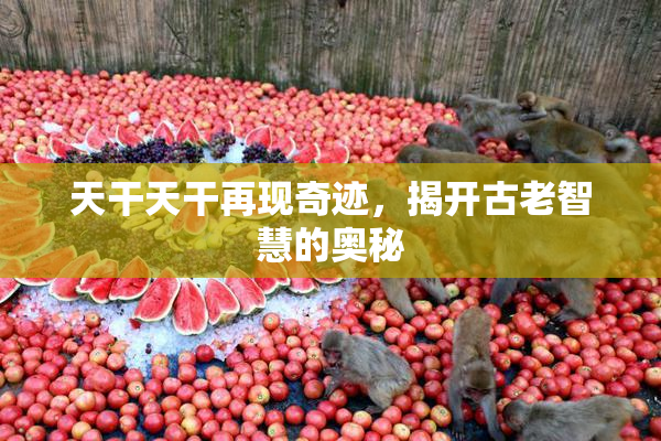 天干天干再现奇迹，揭开古老智慧的奥秘