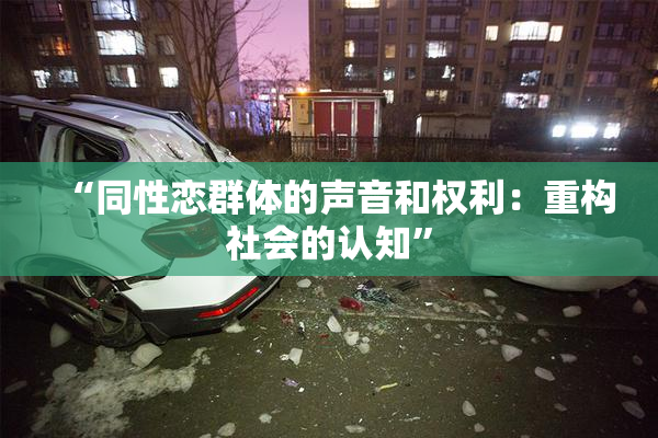 “同性恋群体的声音和权利：重构社会的认知”