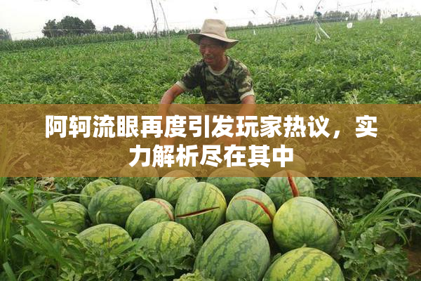 阿轲流眼再度引发玩家热议，实力解析尽在其中