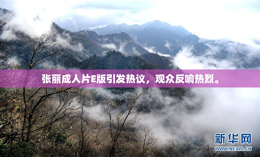 张丽成人片E版引发热议，观众反响热烈。