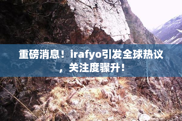 重磅消息！irafyo引发全球热议，关注度骤升！