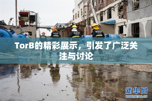 TorB的精彩展示，引发了广泛关注与讨论
