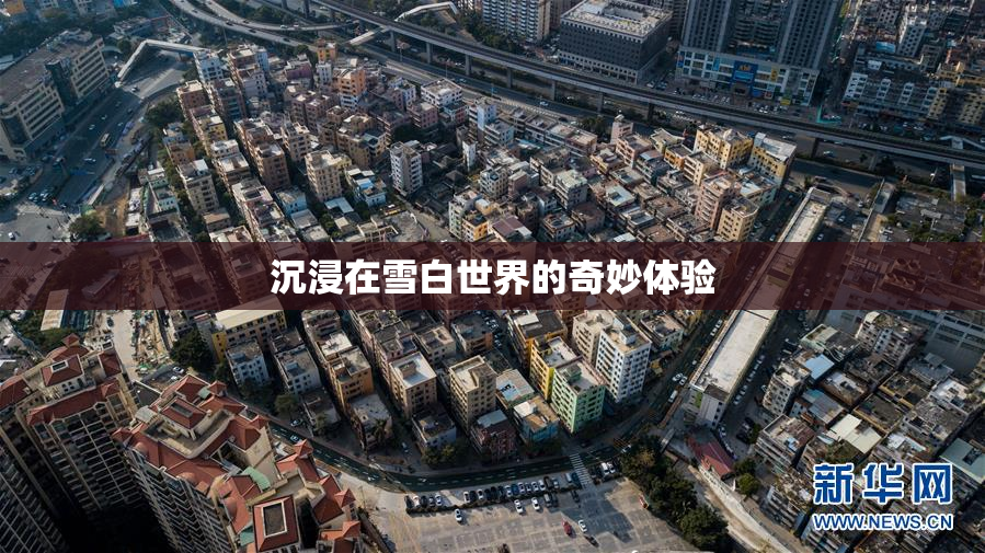 沉浸在雪白世界的奇妙体验