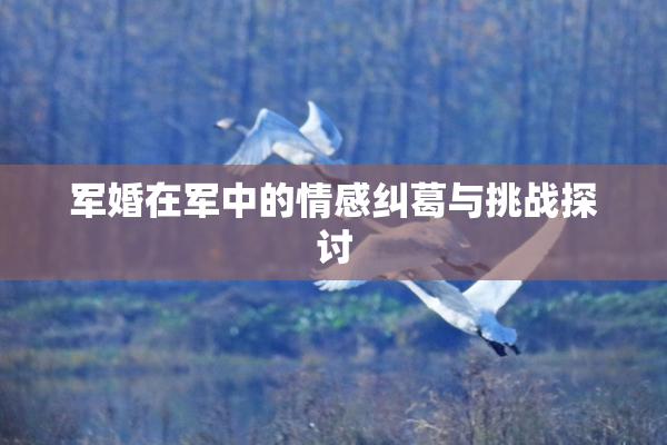 军婚在军中的情感纠葛与挑战探讨