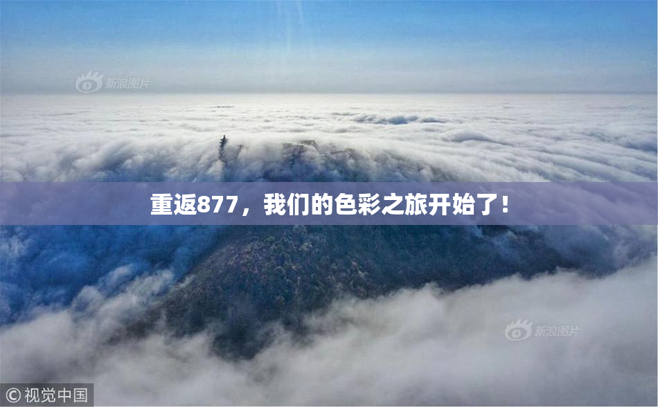 重返877，我们的色彩之旅开始了！