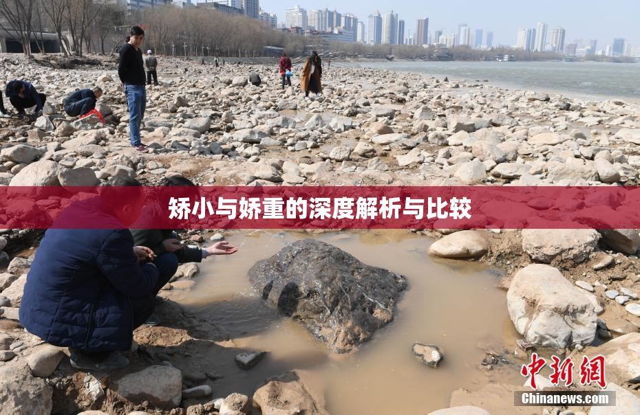 矫小与娇重的深度解析与比较