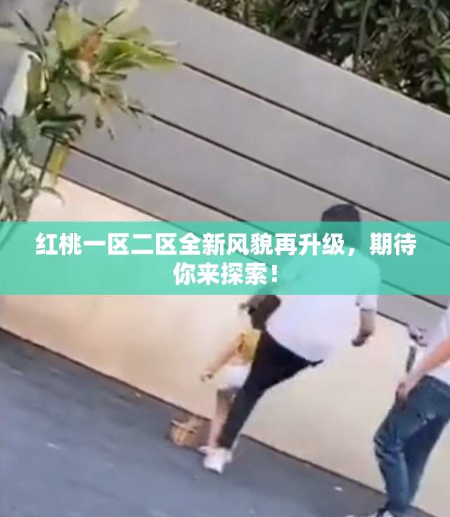 红桃一区二区全新风貌再升级，期待你来探索！