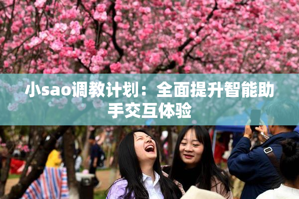 小sao调教计划：全面提升智能助手交互体验