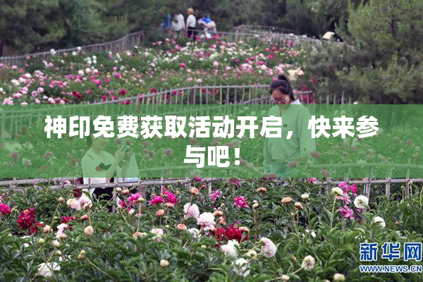 神印免费获取活动开启，快来参与吧！