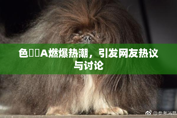 色妺妺A燃爆热潮，引发网友热议与讨论