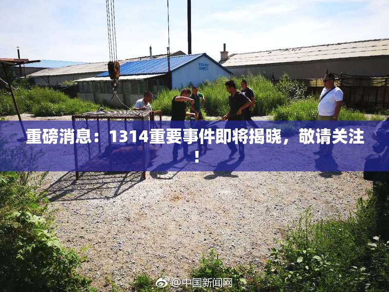 重磅消息：1314重要事件即将揭晓，敬请关注！