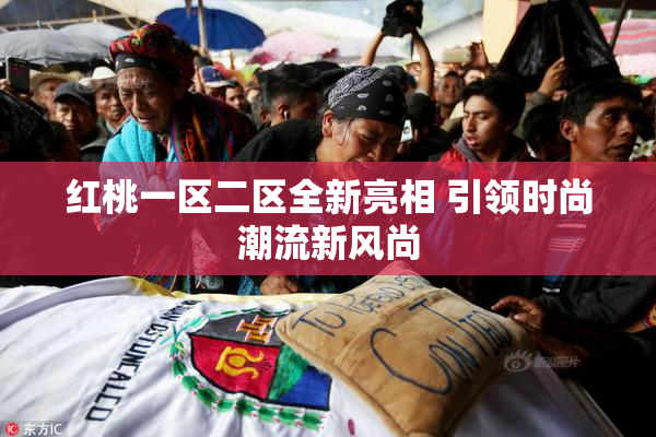红桃一区二区全新亮相 引领时尚潮流新风尚