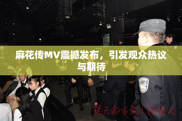 麻花传MV震撼发布，引发观众热议与期待