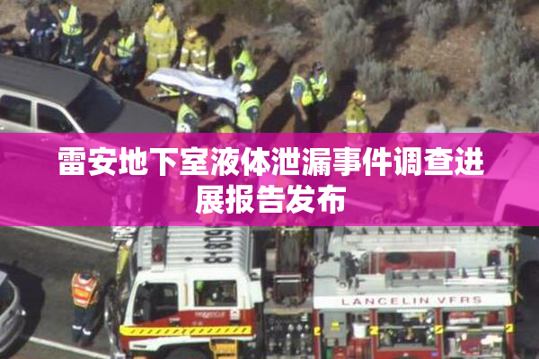 雷安地下室液体泄漏事件调查进展报告发布