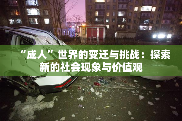 “成人”世界的变迁与挑战：探索新的社会现象与价值观