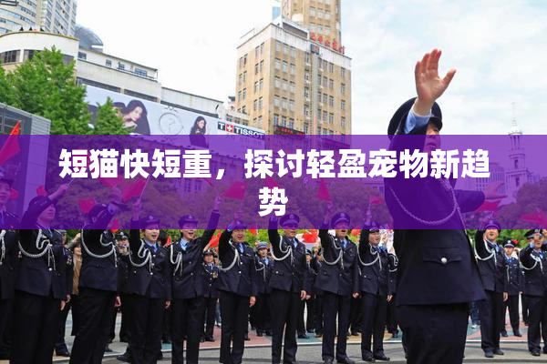 短猫快短重，探讨轻盈宠物新趋势