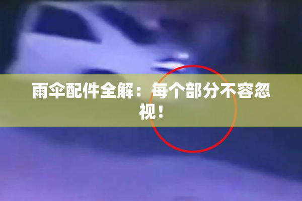 雨伞配件全解：每个部分不容忽视！