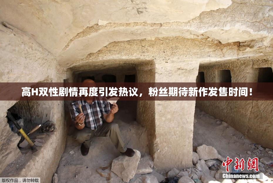 高H双性剧情再度引发热议，粉丝期待新作发售时间！