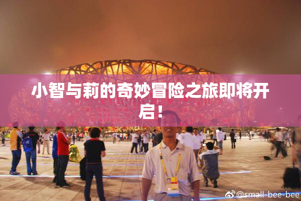 小智与莉的奇妙冒险之旅即将开启！