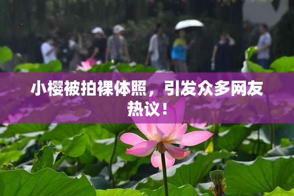 小樱被拍裸体照，引发众多网友热议！