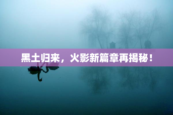 黑土归来，火影新篇章再揭秘！