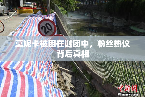 莫妮卡被困在谜团中，粉丝热议背后真相