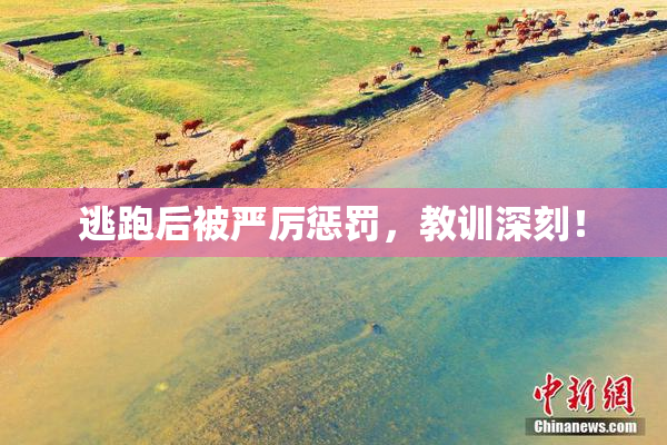 逃跑后被严厉惩罚，教训深刻！