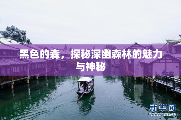 黑色的森，探秘深幽森林的魅力与神秘