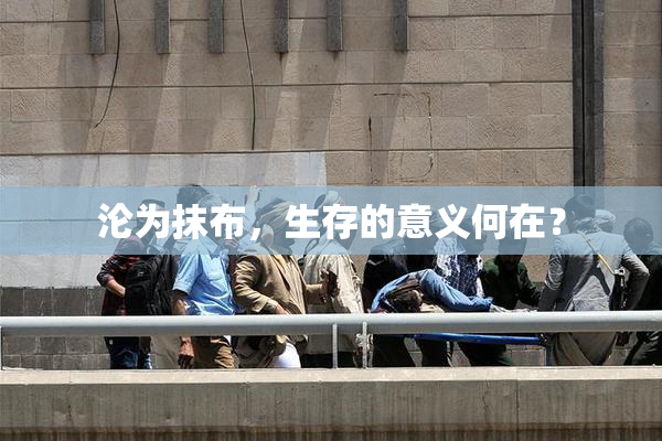 沦为抹布，生存的意义何在？